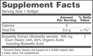 Boswellia Extract 500mg