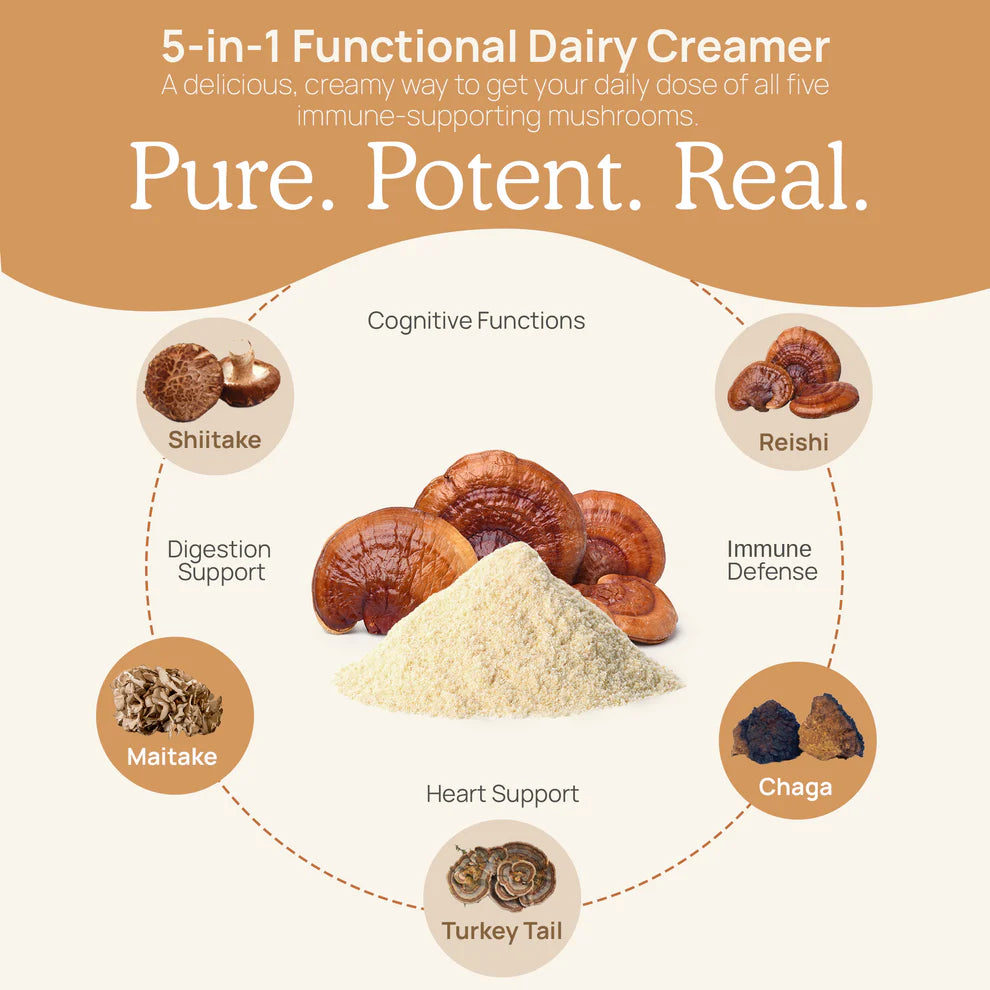 Functional Dairy Creamer Powder w/ 5 Defenders Mushroom Powder Blend