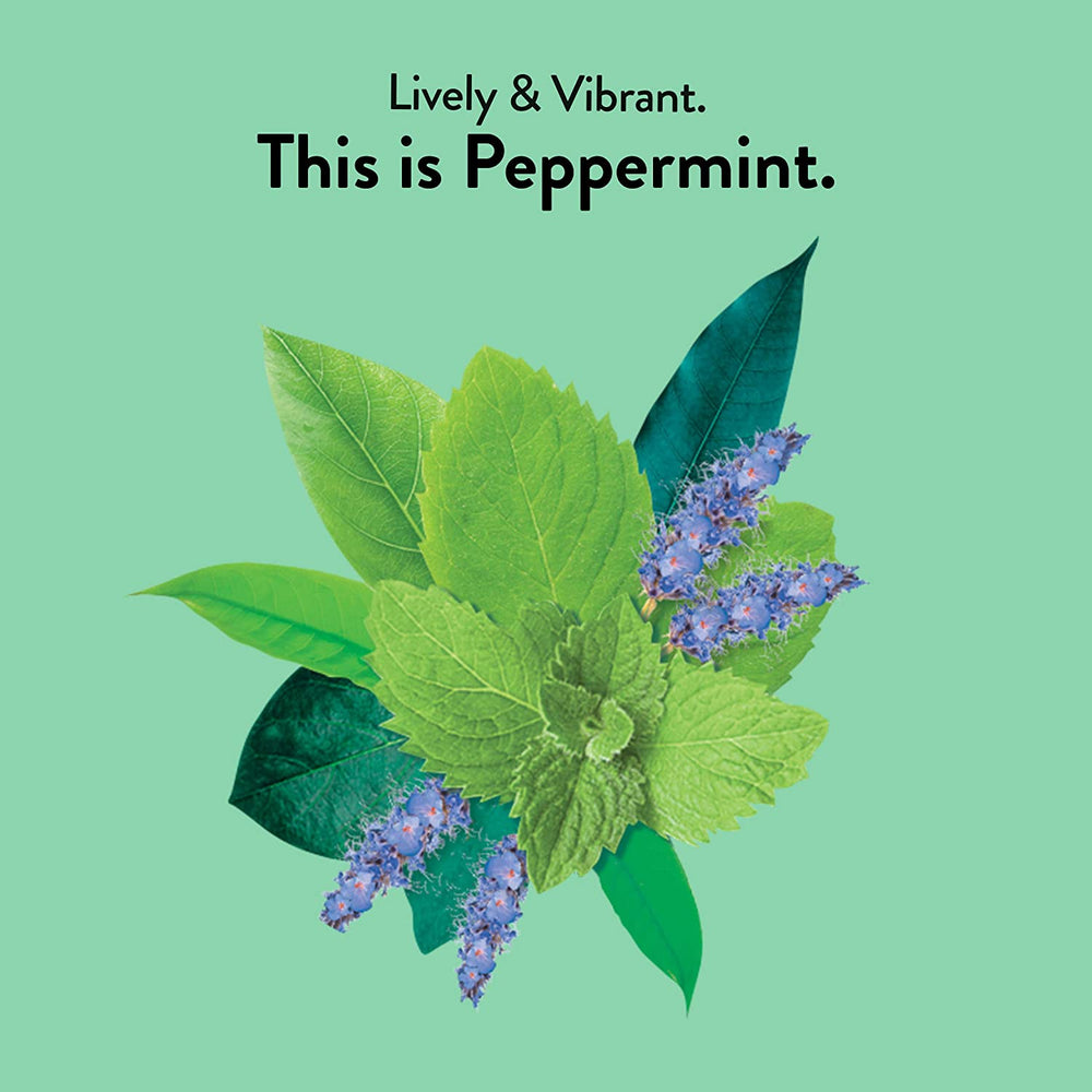 Peppermint Tea, Organic: 16 sachets