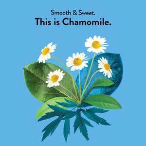 Chamomile Tea, Organic: 16 sachets