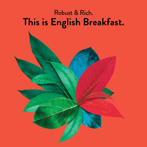 English Breakfast Tea, Organic: 16 sachets (Decaf)